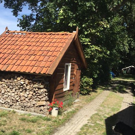 Landelijk Gelegen Huisje Op Erf Veeningen 외부 사진