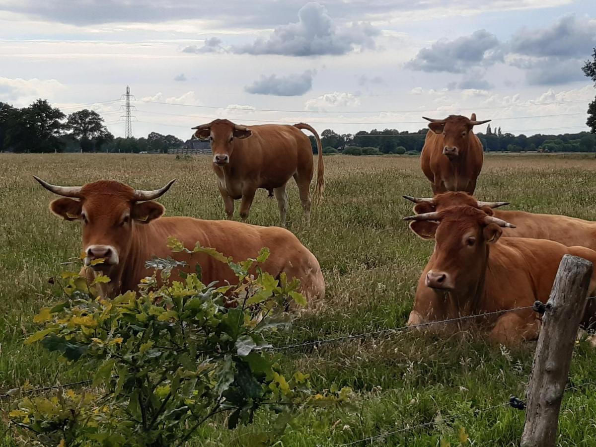 Landelijk Gelegen Huisje Op Erf Veeningen 외부 사진