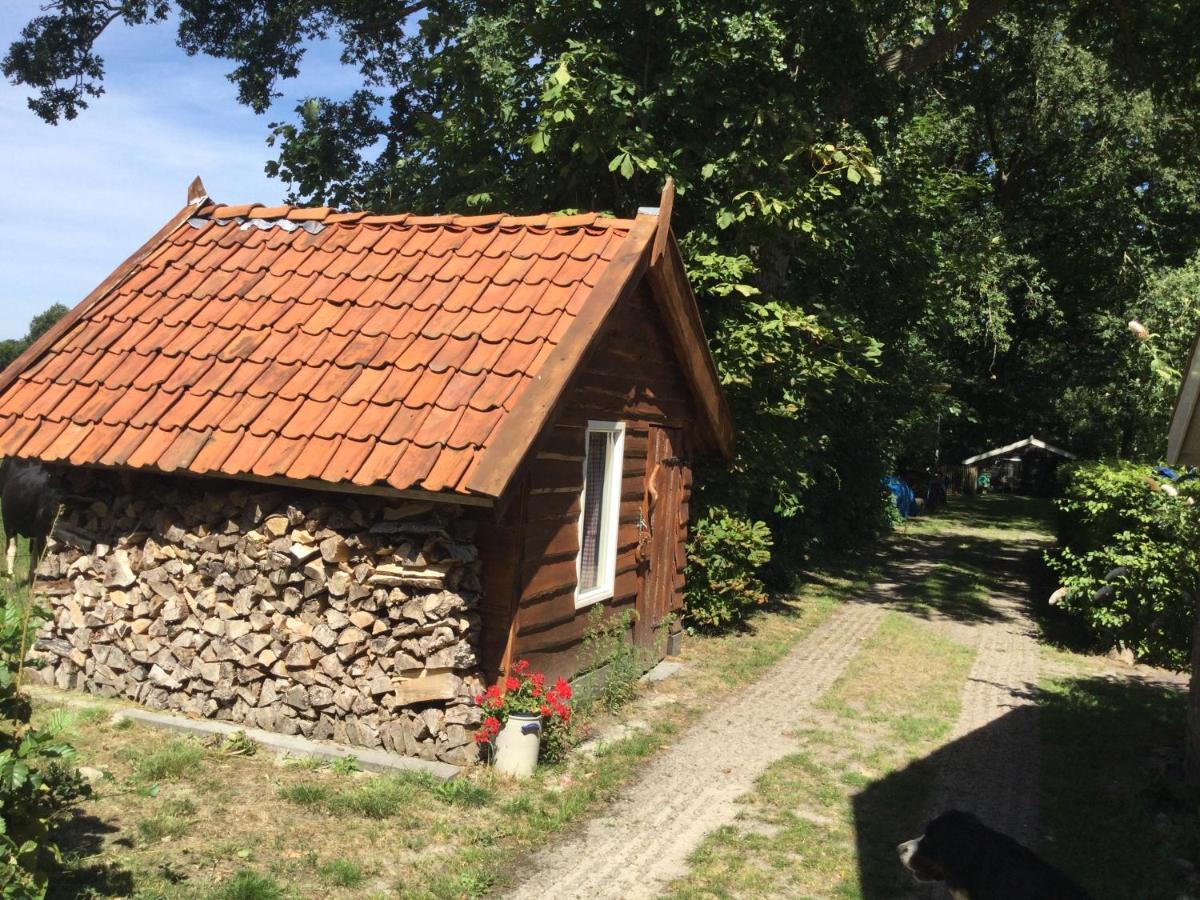 Landelijk Gelegen Huisje Op Erf Veeningen 외부 사진
