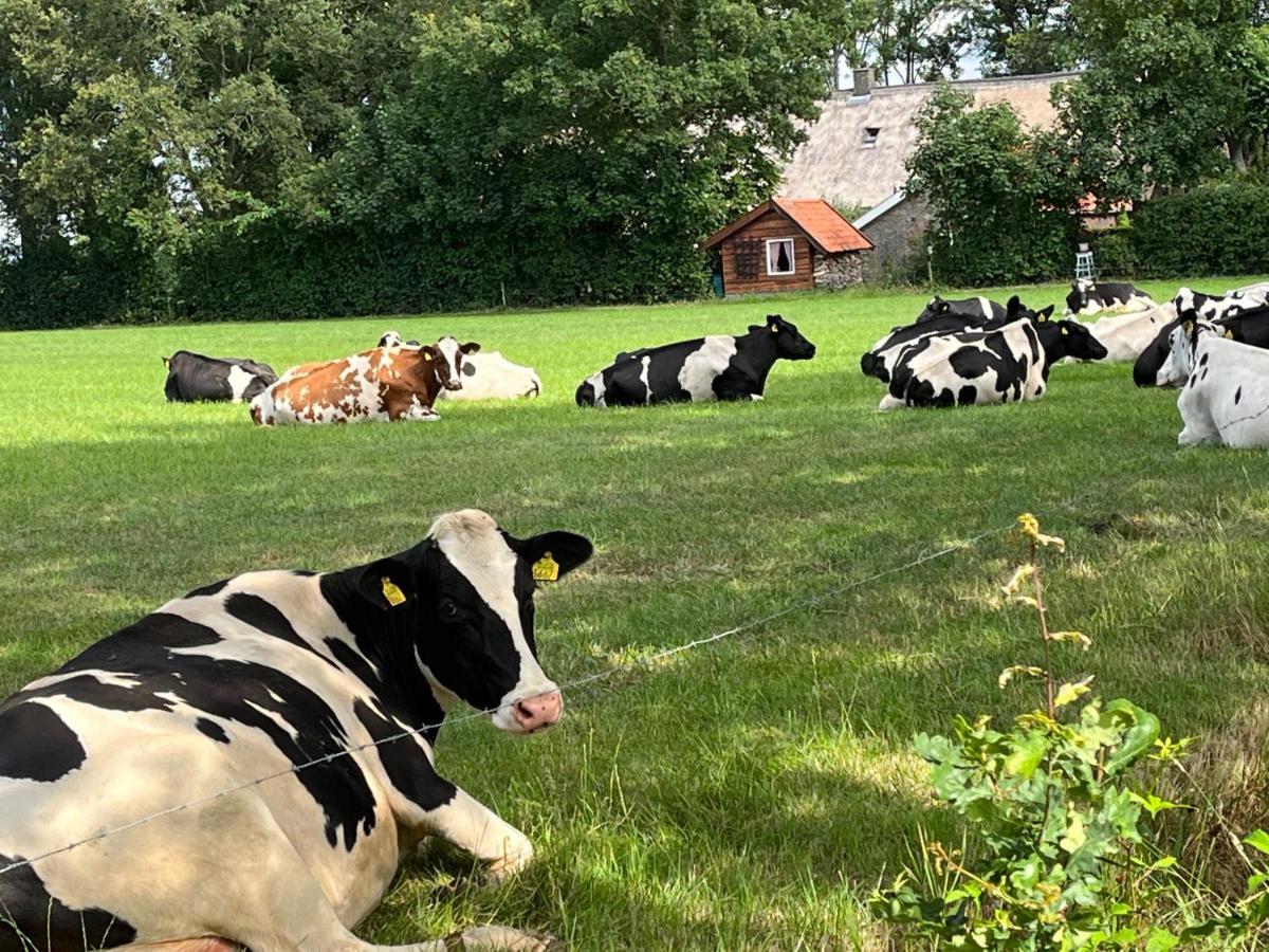 Landelijk Gelegen Huisje Op Erf Veeningen 외부 사진
