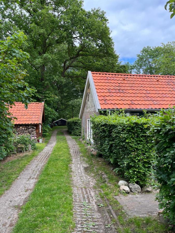 Landelijk Gelegen Huisje Op Erf Veeningen 외부 사진