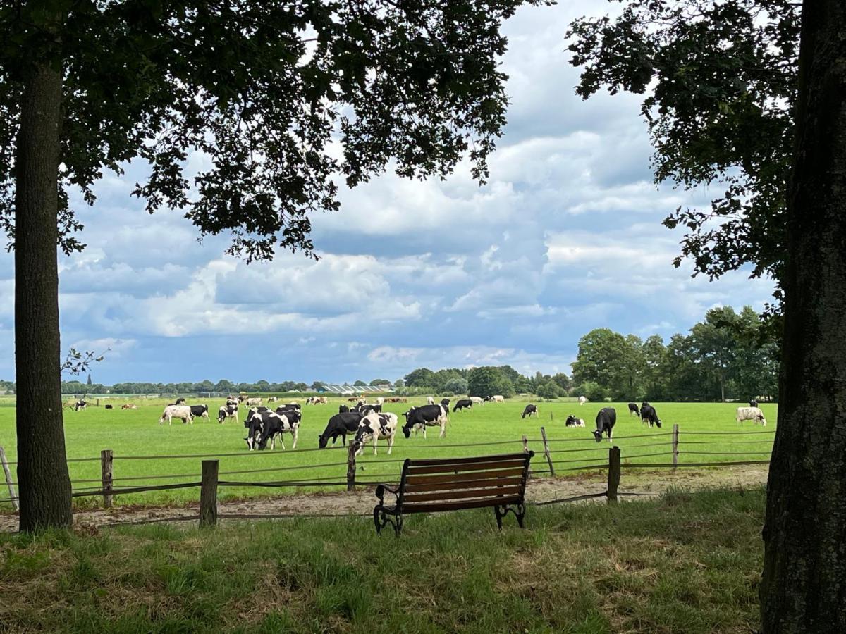 Landelijk Gelegen Huisje Op Erf Veeningen 외부 사진